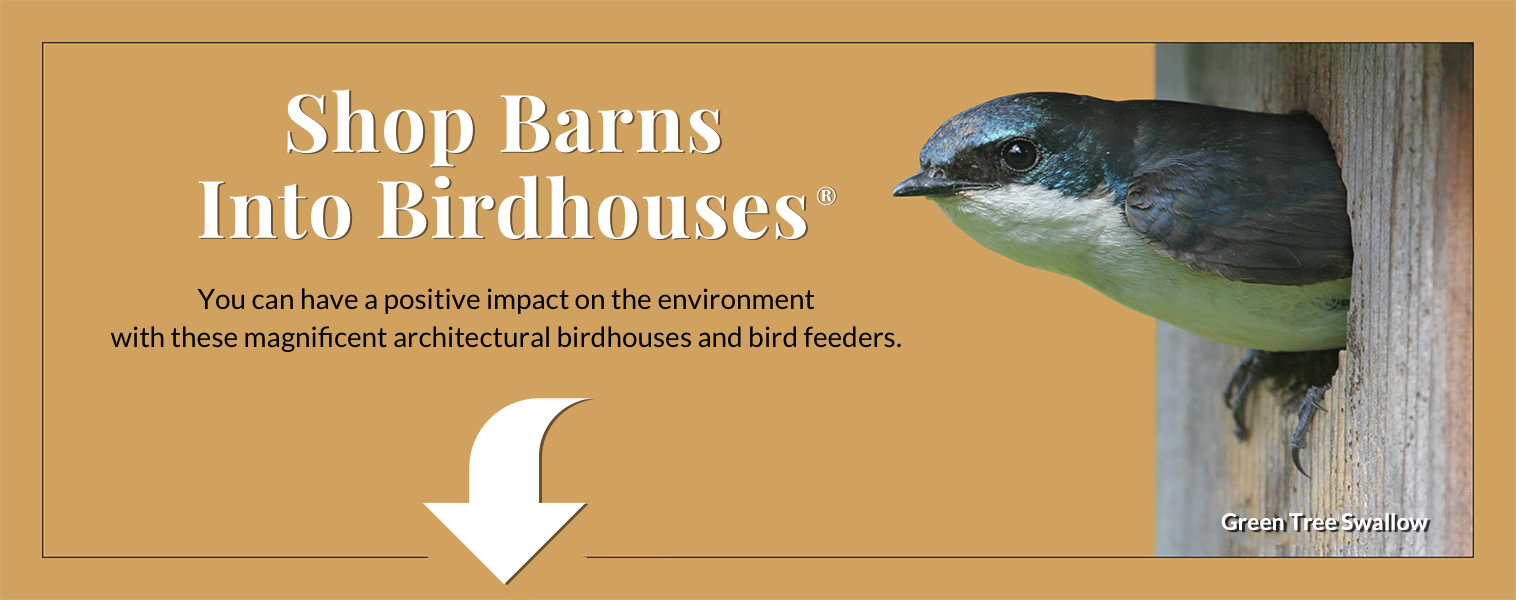 Shop Barns Into Birdhouses